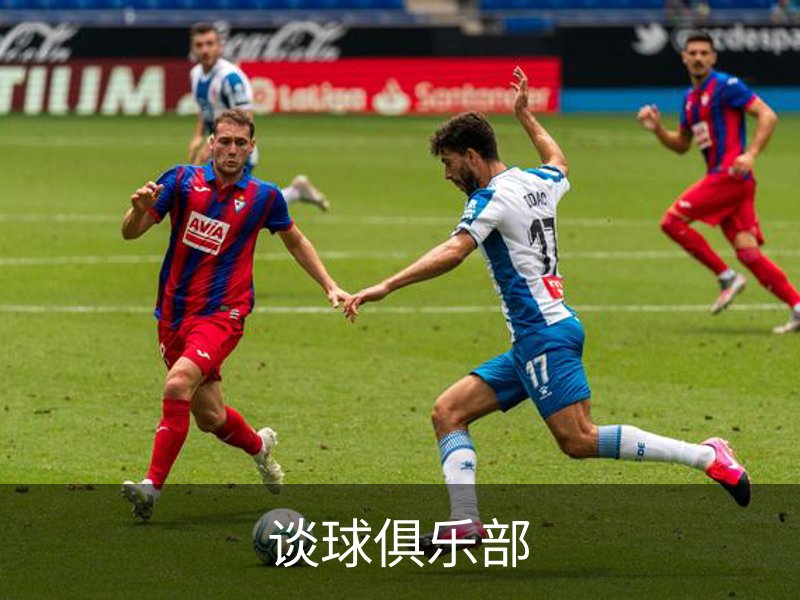 谈球俱乐部概况